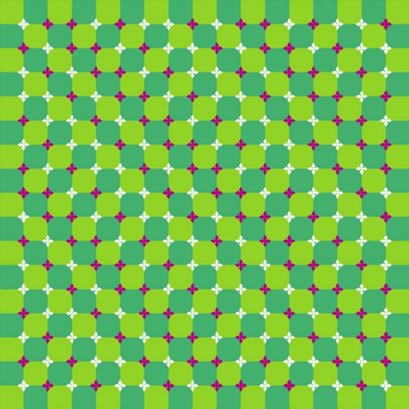 O professor Akiyoshi Kitaoka da Universidade de Kyoto já passou mais de uma década da sua vida trabalhando com a criação de ilusões de óticas e você pode ver algumas das suas imagens logo abaixo.