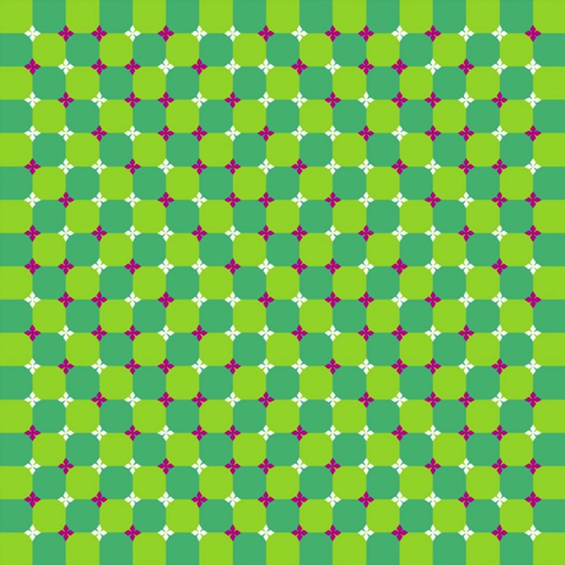 O professor Akiyoshi Kitaoka da Universidade de Kyoto já passou mais de uma década da sua vida trabalhando com a criação de ilusões de óticas e você pode ver algumas das suas imagens logo abaixo.