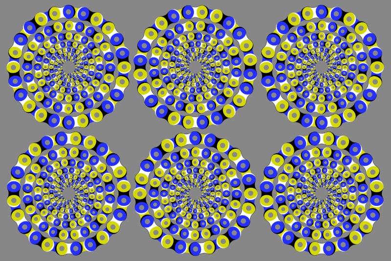 O professor Akiyoshi Kitaoka da Universidade de Kyoto já passou mais de uma década da sua vida trabalhando com a criação de ilusões de óticas e você pode ver algumas das suas imagens logo abaixo.