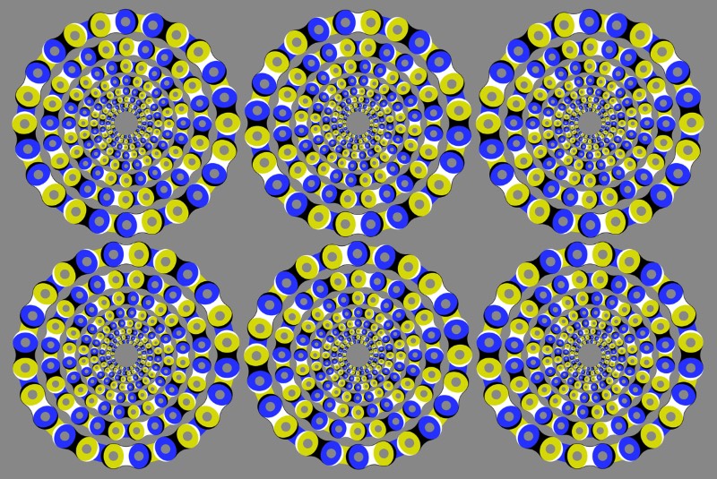 O professor Akiyoshi Kitaoka da Universidade de Kyoto já passou mais de uma década da sua vida trabalhando com a criação de ilusões de óticas e você pode ver algumas das suas imagens logo abaixo.