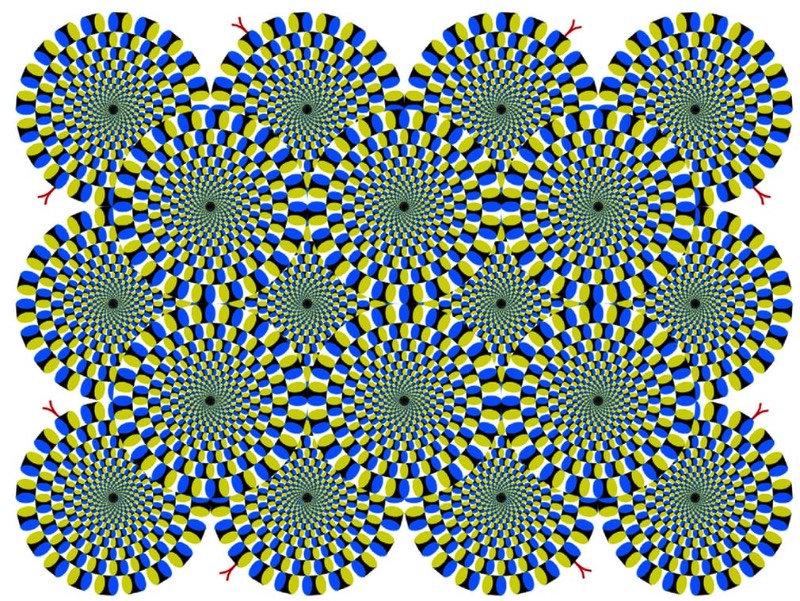 O professor Akiyoshi Kitaoka da Universidade de Kyoto já passou mais de uma década da sua vida trabalhando com a criação de ilusões de óticas e você pode ver algumas das suas imagens logo abaixo.