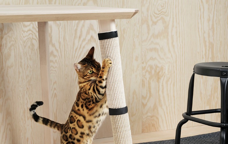 A IKEA é uma dessas lojas que você visita sabendo que vai encontrar de tudo. Agora, isso é uma afirmação ainda mais verdadeira já que eles acabaram de lançar uma linha de móveis para pets. Sim, uma IKEA para gatos e cachorros cheia de móveis e acessórios para um dos membros mais importantes de qualquer família. 