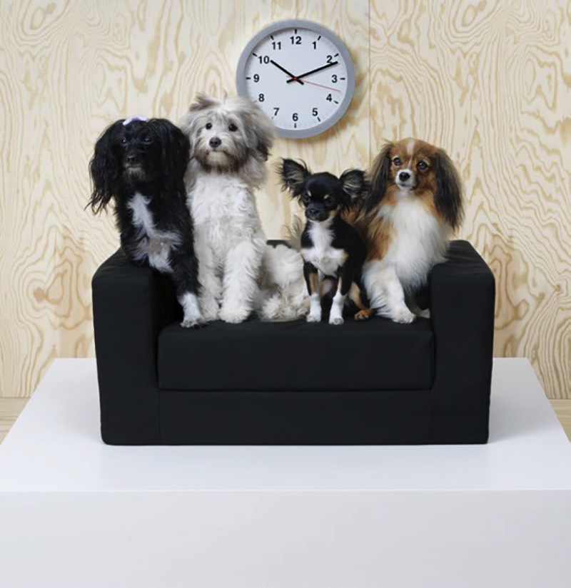 A IKEA é uma dessas lojas que você visita sabendo que vai encontrar de tudo. Agora, isso é uma afirmação ainda mais verdadeira já que eles acabaram de lançar uma linha de móveis para pets. Sim, uma IKEA para gatos e cachorros cheia de móveis e acessórios para um dos membros mais importantes de qualquer família. 