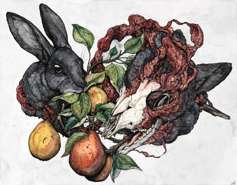 Mitologia, biologia, cosmologia e o simbolismo dos animais, esses sempre foram os tópicos que a artista americana Lauren Marx teve curiosidade. Sua atração por esses tópicos acabou levando ela a criar imagens e ilustrações que combinem todos esses elementos de um jeito que demonstre como ela enxerga a forma com a qual eles se misturam. Um argumento visual sobre a interconectividade da vida. 