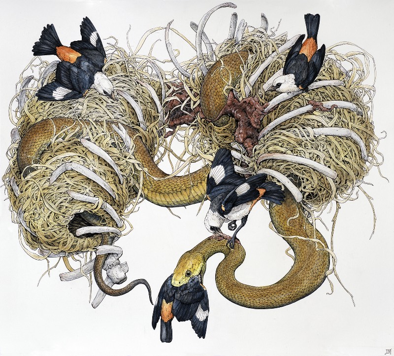 Mitologia, biologia, cosmologia e o simbolismo dos animais, esses sempre foram os tópicos que a artista americana Lauren Marx teve curiosidade. Sua atração por esses tópicos acabou levando ela a criar imagens e ilustrações que combinem todos esses elementos de um jeito que demonstre como ela enxerga a forma com a qual eles se misturam. Um argumento visual sobre a interconectividade da vida. 