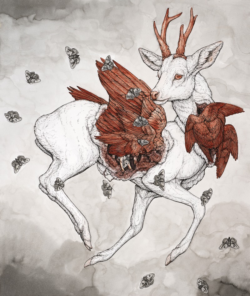 Mitologia, biologia, cosmologia e o simbolismo dos animais, esses sempre foram os tópicos que a artista americana Lauren Marx teve curiosidade. Sua atração por esses tópicos acabou levando ela a criar imagens e ilustrações que combinem todos esses elementos de um jeito que demonstre como ela enxerga a forma com a qual eles se misturam. Um argumento visual sobre a interconectividade da vida. 