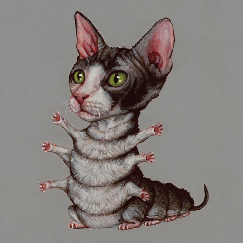 O estranho mundo cheio de gatos de Casey Weldon - A narrativa estética de Casey Weldon aponta para um lugar cheio de luz. Um lugar que brilha com uma luminosidade misteriosa e que olha em direção ao espectador, tentando convidá-lo em sua direção e mostrando tudo que existe por lá. Algumas vezes, a arte de Casey Weldon mostra um humor peculiar porém, o foco de sua arte é quase sempre a cultura pop. Principalmente quando ele resolve comentar a vida moderna e sua dependência de redes sociais e o mundo online. Mas estamos aqui para mostrar seus gatos e sua arte.