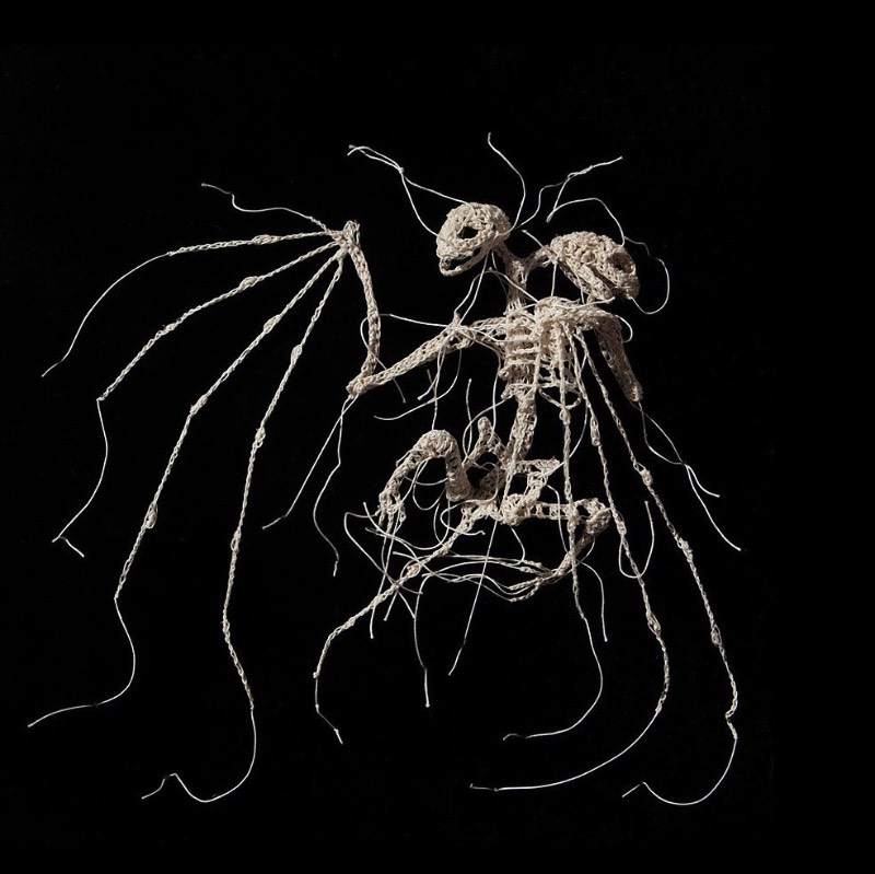 Nunca imaginei que estaria fazendo um artigo aqui que incluiria crochê mas estamos aqui mudando o mundo com a arte de Caitlin McCormack. Essa artista americana, baseada em Philadelphia, parece simular espécies científicas que ela cria usando de linhas, materiais têxteis e muita cola. 