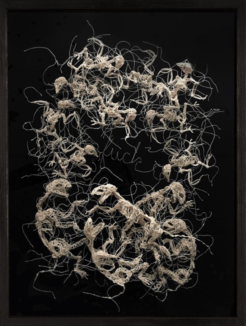 Nunca imaginei que estaria fazendo um artigo aqui que incluiria crochê mas estamos aqui mudando o mundo com a arte de Caitlin McCormack. Essa artista americana, baseada em Philadelphia, parece simular espécies científicas que ela cria usando de linhas, materiais têxteis e muita cola. 