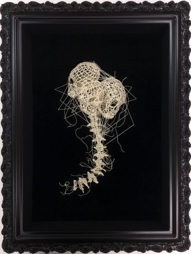 Nunca imaginei que estaria fazendo um artigo aqui que incluiria crochê mas estamos aqui mudando o mundo com a arte de Caitlin McCormack. Essa artista americana, baseada em Philadelphia, parece simular espécies científicas que ela cria usando de linhas, materiais têxteis e muita cola. 