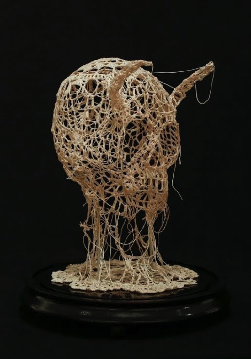 Nunca imaginei que estaria fazendo um artigo aqui que incluiria crochê mas estamos aqui mudando o mundo com a arte de Caitlin McCormack. Essa artista americana, baseada em Philadelphia, parece simular espécies científicas que ela cria usando de linhas, materiais têxteis e muita cola. 