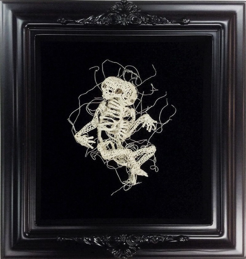 Nunca imaginei que estaria fazendo um artigo aqui que incluiria crochê mas estamos aqui mudando o mundo com a arte de Caitlin McCormack. Essa artista americana, baseada em Philadelphia, parece simular espécies científicas que ela cria usando de linhas, materiais têxteis e muita cola. 
