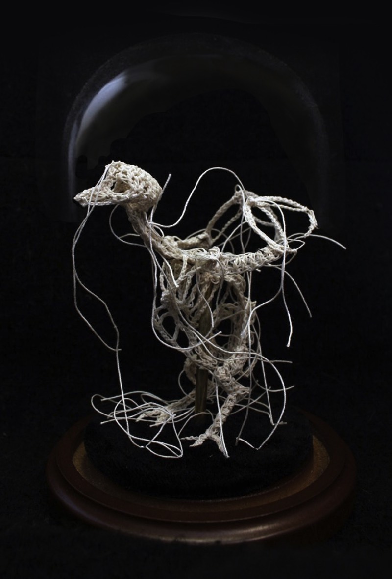 Nunca imaginei que estaria fazendo um artigo aqui que incluiria crochê mas estamos aqui mudando o mundo com a arte de Caitlin McCormack. Essa artista americana, baseada em Philadelphia, parece simular espécies científicas que ela cria usando de linhas, materiais têxteis e muita cola. 
