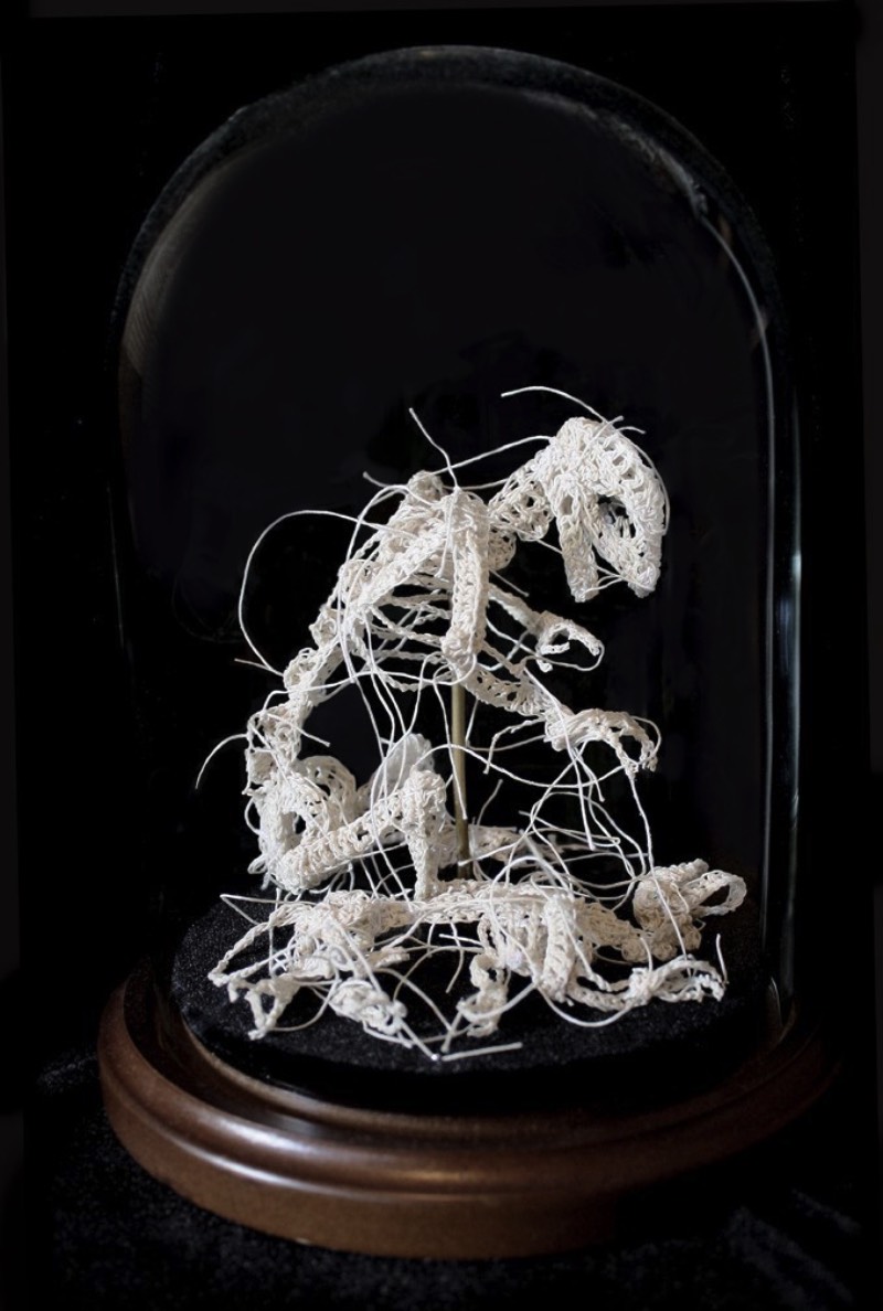 Nunca imaginei que estaria fazendo um artigo aqui que incluiria crochê mas estamos aqui mudando o mundo com a arte de Caitlin McCormack. Essa artista americana, baseada em Philadelphia, parece simular espécies científicas que ela cria usando de linhas, materiais têxteis e muita cola. 