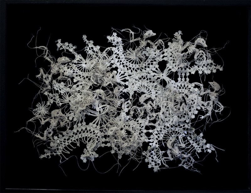 Nunca imaginei que estaria fazendo um artigo aqui que incluiria crochê mas estamos aqui mudando o mundo com a arte de Caitlin McCormack. Essa artista americana, baseada em Philadelphia, parece simular espécies científicas que ela cria usando de linhas, materiais têxteis e muita cola. 