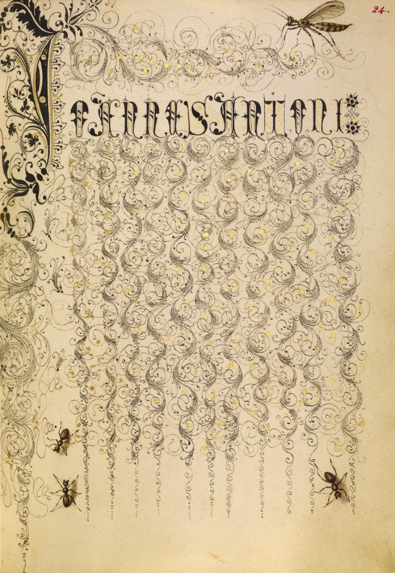 Mira Calligraphiae Monumenta é o resultado de décadas de trabalho de caligrafia entre o mestre escriba chamado Georg Bocksay, nascido no que hoje seria a Croácia, e o artista flamenco Joris Hoefnagel. Tudo começou em cerca de 1560, quando Georg Bocksay era o secretário do Imperador do Sagrado Império Romando, Ferdinando I. O mestre escriba resolvei produzir um catálogo que mostrasse todos os diferentes estilos caligráficos que ele poderia utilizar no seu trabalho. Dessa forma, ele poderia apresentar um portfólio da sua caligrafia que mostrasse seu repertório para quem interessasse no que ele fazia.