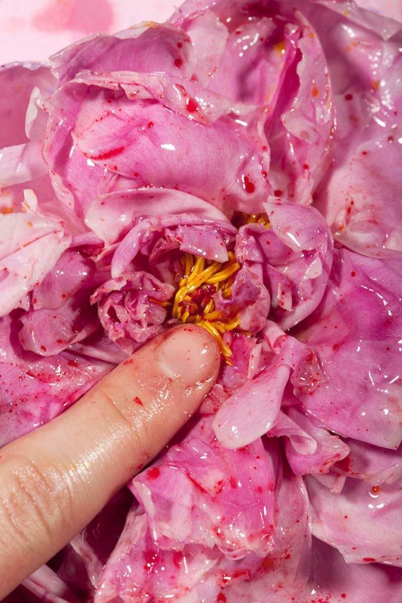 Maisie Cousins é uma fotógrafa nada convencional que rejeita os ideais de beleza e estética de hoje em dia. Nas suas fotografias, ela reverte a estética tradicional da nudez, da feminilidade e da natureza e cria algo novo. Normalmente, experimentando com uma provocação dos sensos através das imagens que ela captura. 