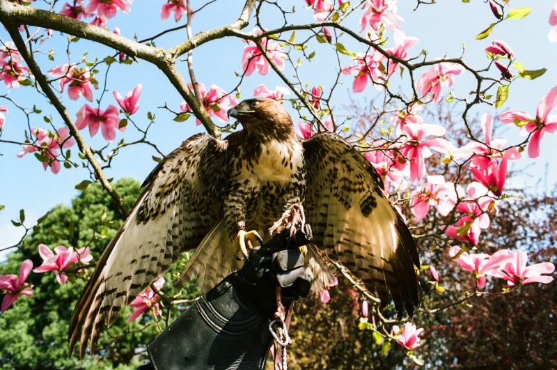 As imagens criadas por Amanda Leigh Smith me levam para uma época que não existe mais. Uma época que parece mais com os anos de rebeldia que foram capturados em filmes como Easy Rider do que com qualquer coisa que vejo por ai nos dias de hoje. Porém, as fotografias que você pode ver aqui foram criadas por uma fotógrafa de menos de 30 anos que não havia nascido nessa época. Mas isso não faz diferença alguma. 