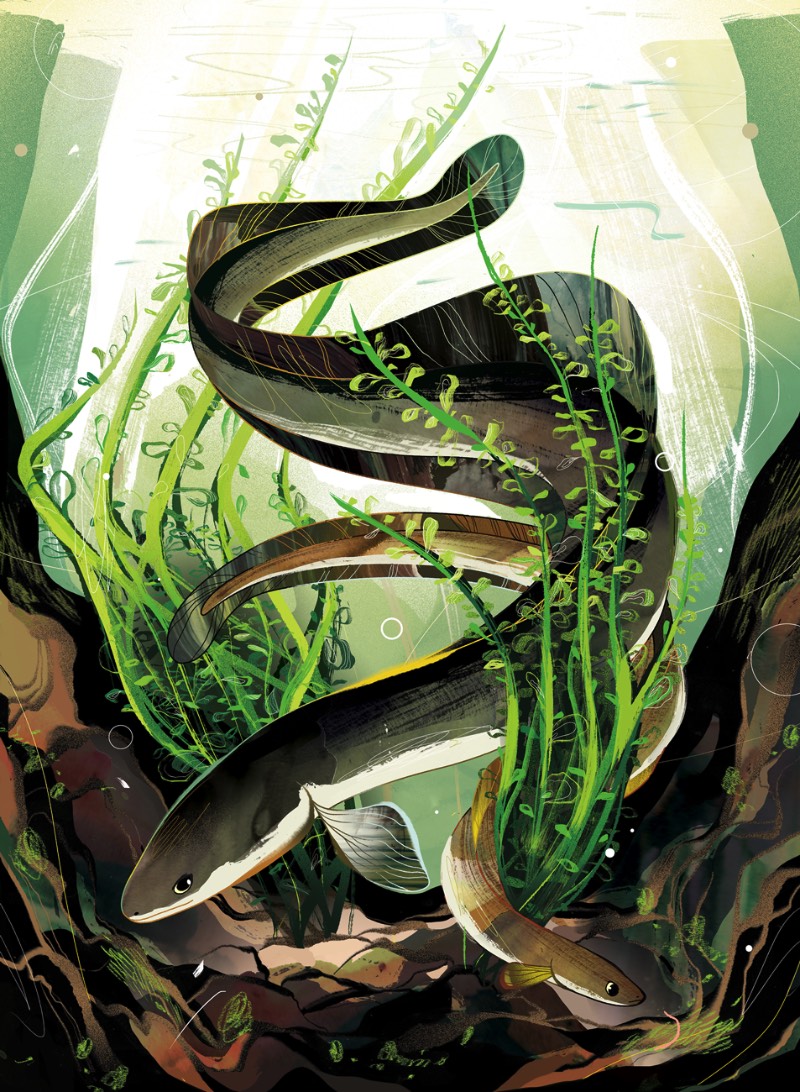 Quando me deparei com o portfólio de ilustrações de Lynn Scurfield, eu sabia que ia publicar alguma coisa dela por aqui. Tudo isso porque eu adorei como que ela usa de cores e mais cores para criar texturas diferentes em seus desenhos. 