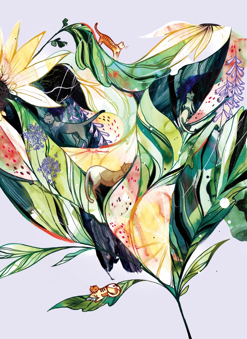 Quando me deparei com o portfólio de ilustrações de Lynn Scurfield, eu sabia que ia publicar alguma coisa dela por aqui. Tudo isso porque eu adorei como que ela usa de cores e mais cores para criar texturas diferentes em seus desenhos. 
