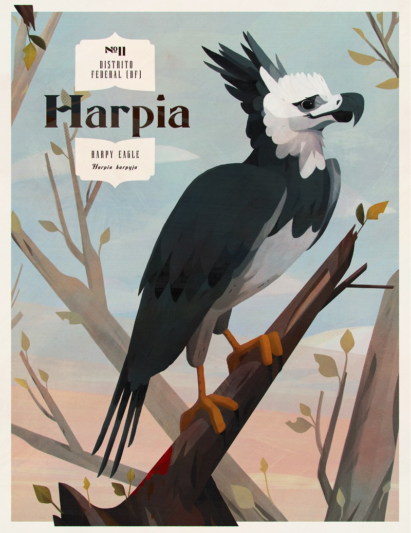 Os Pássaros do Brasil por Eric Pautz — Pássaros do Brasil é um projeto ilustrado celebrando a incrível fauna brasileira. Afinal, o Brasil tem mais de 1.800 espécies diferentes e confirmadas, fazendo do país um dos ecossistemas mais ricos quando se trata de aves. Essa série de ilustrações mostra 27 pássaros para cada um dos estados brasileiros e, logo abaixo, você pode ver os primeiros cinco pássaros que foram ilustrados por Eric Pautz. 