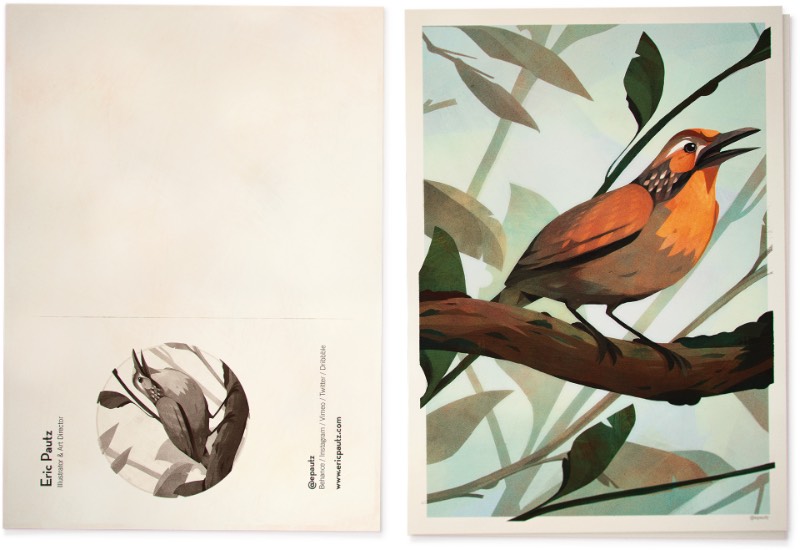 Os Pássaros do Brasil por Eric Pautz — Pássaros do Brasil é um projeto ilustrado celebrando a incrível fauna brasileira. Afinal, o Brasil tem mais de 1.800 espécies diferentes e confirmadas, fazendo do país um dos ecossistemas mais ricos quando se trata de aves.