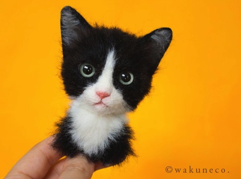 Wakuneco é o nome de uma artista japonesa que usa de uma técnica bem interessante para criar retratos de gatos com feltro. Ela usa de agulhas para moldar o feltro e criar imagens muito realistas de gatos de todos os tipos e formatos. Tudo inspirado por imagens reais de felinos que vem de todas as raças e tamanhos.