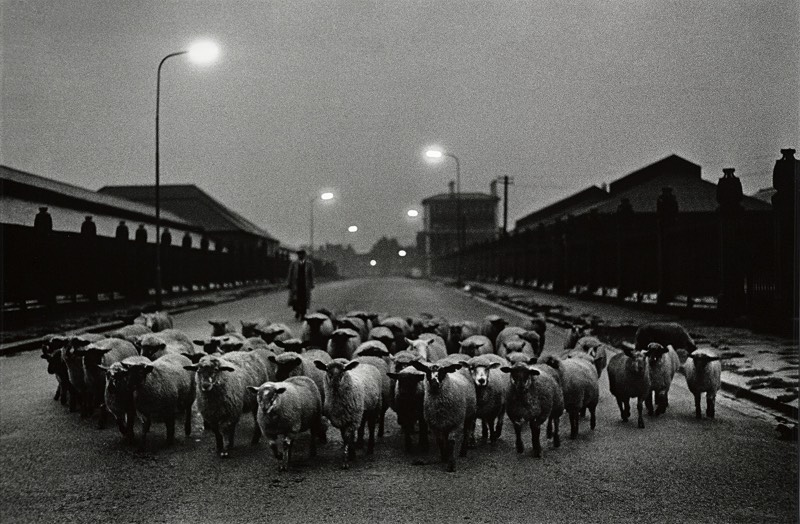 Conhecer o trabalho de Don McCullin é explorar o trabalho de um dos melhores fotógrafos vivos. Não são muitos que tiveram uma carreira tão longa e cheia de variedade quanto ele. E você pode ver algumas das fotografias que ele fez nos seus cinquenta anos de foto jornalismo. Fotografias que documentam a vida em Londres, os horrores da guerra pela África e pelo Oriente Médio e ele não parou por ai. 