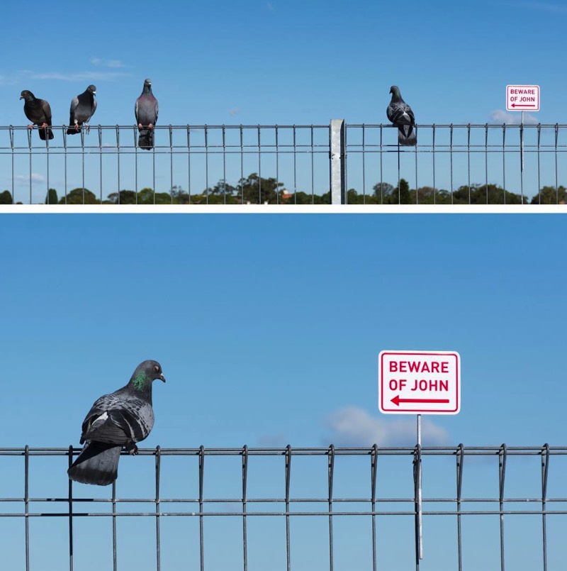 O que muitas pessoas acabariam ignorando pelas ruas, acaba se tornando parte da estranha arte de rua de Michael Pederson. Algumas vezes ele usa de pedaços de grama, outras vezes de uma televisão quebrada abandonada nas ruas. Mas, ele sempre cria algo interessante. 