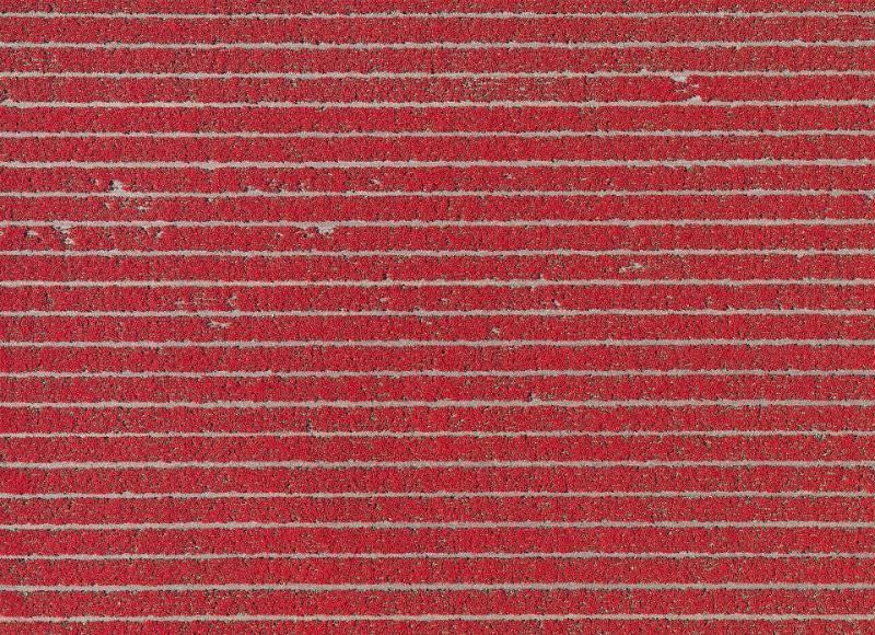 Os campos de tulipas da Holanda nunca apareceram tão bonitos quanto nas fotos aéreas de Bernhard Lang. Elas acabam se tornando uma espécie de antídoto visual as pinturas de Monet e as flores pintadas por Van Gogh. As fotografias aqui mostram um mundo diferente, algo mais geométrico que lembram mais as imagens criadas por Piet Mondrian.