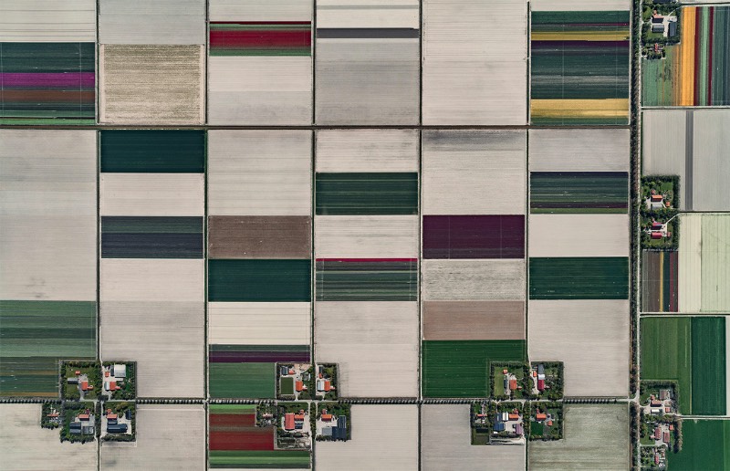 Os campos de tulipas da Holanda nunca apareceram tão bonitos quanto nas fotos aéreas de Bernhard Lang. Elas acabam se tornando uma espécie de antídoto visual as pinturas de Monet e as flores pintadas por Van Gogh. As fotografias aqui mostram um mundo diferente, algo mais geométrico que lembram mais as imagens criadas por Piet Mondrian.