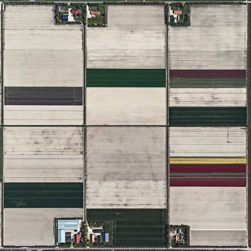 Os campos de tulipas da Holanda nunca apareceram tão bonitos quanto nas fotos aéreas de Bernhard Lang. Elas acabam se tornando uma espécie de antídoto visual as pinturas de Monet e as flores pintadas por Van Gogh. As fotografias aqui mostram um mundo diferente, algo mais geométrico que lembram mais as imagens criadas por Piet Mondrian.