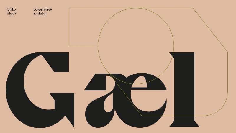 A Cako é uma família tipográfica que foi projetada por Jeremy Schneider em meados de 2019, direto de Paris. O que me chamou a atenção nessa fonte foi a forma quase única com a qual o designer trabalhou as formas e serifas de suas letras. Repletas de alternativas de estilos diversos e que, mesmo assim, continuam fazendo parte do conceito inicial dessa fonte.