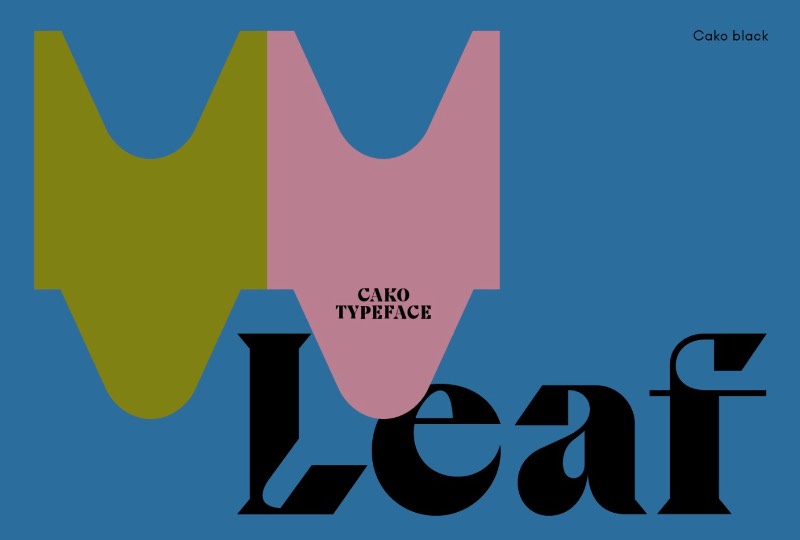 A Cako é uma família tipográfica que foi projetada por Jeremy Schneider em meados de 2019, direto de Paris. O que me chamou a atenção nessa fonte foi a forma quase única com a qual o designer trabalhou as formas e serifas de suas letras. Repletas de alternativas de estilos diversos e que, mesmo assim, continuam fazendo parte do conceito inicial dessa fonte.