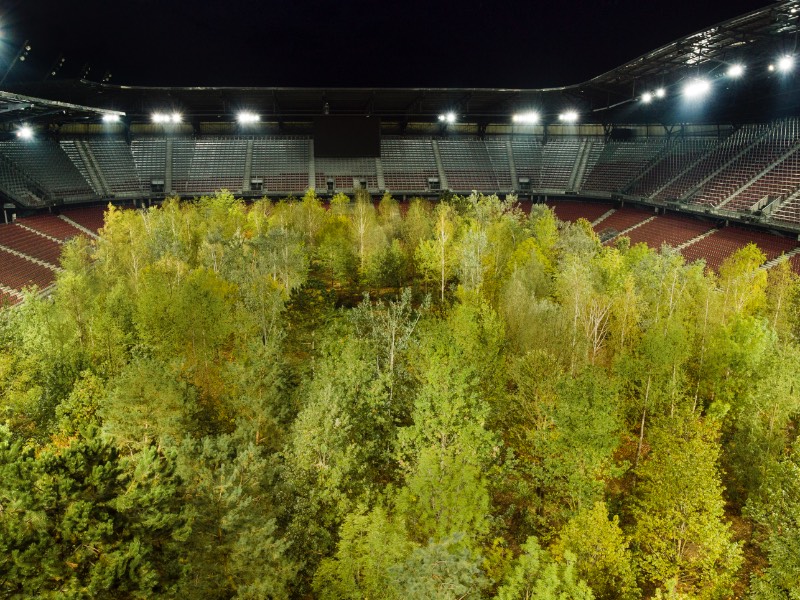 No início de Setembro de 2019, uma enorme instalação de arte foi aberta ao público na Áustria. Seu nome completo é FOR FOREST – The Unending Attraction of Nature e ela transformou o estádio de Wörthersee em uma floresta nativa da Europa Central. Algo que além de ser surreal de se ver, serve como crítica a tudo que vemos hoje quando se trata da destruição do planeta.