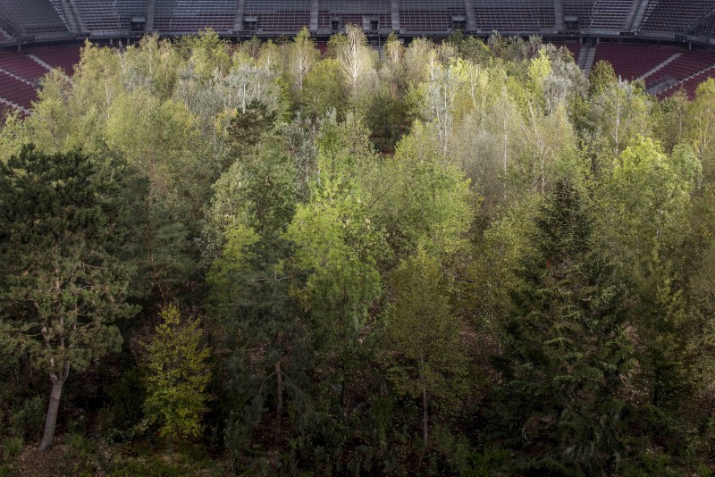 For Forest foi concebida pelo curador suíço Klaus Littmann e a inspiração por trás disso veio de uma ilustração distópico criada pelo artista e arquiteto austríaco Max Peintner. A arquitetura da paisagem foi supervisionada pela Enea Landscape Architecture. E tudo isso foi criado para criar uma conversa, uma discussão sobre os problemas que temos hoje em dia com a crise climática e o desflorestamento. 