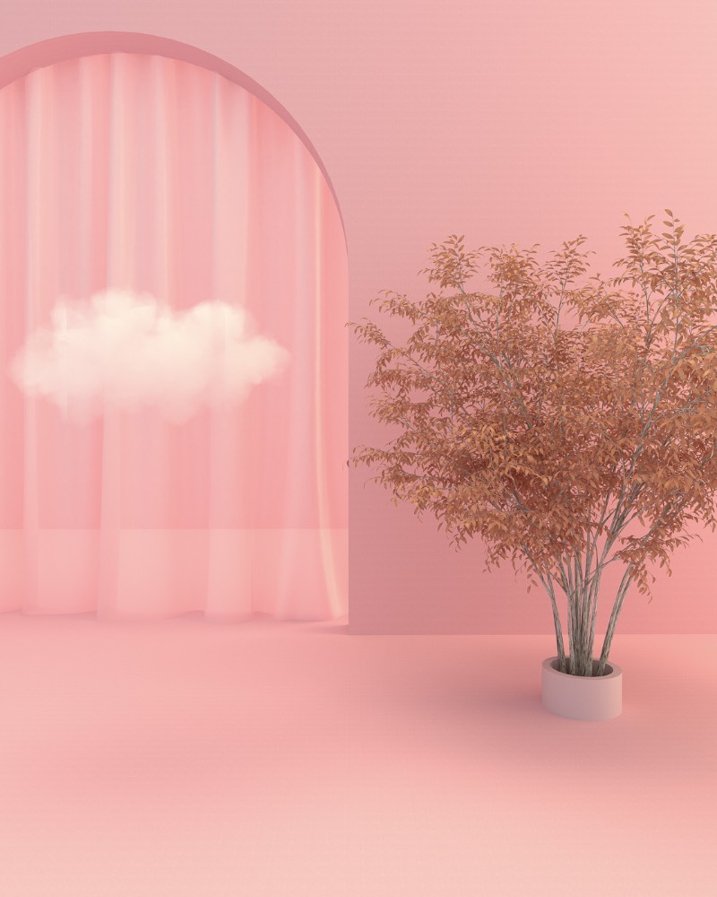 Na série de imagens que recebeu o nome de Somewhere in the World, Minjin Kang e Mijoo Kim estavam interessados em criar um surreal mundo vibrante mas em um estilo minimalista. O objetivo dos artistas do Mue Studios era o de criar espaços oníricos que fossem renderizados como arquitetura, como se fossem ilusões vistas por breves momentos.