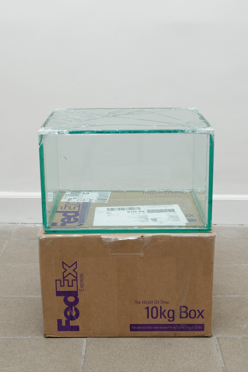 Foi em 2007 que o artista Walead Beshty começou a usar da infraestrutura de entregas da FedEx para criar uma série de obras de arte inusitadas. Para isso, ele constrói objetos de vidro que cabem perfeitamente nas caixas de remessa da FedEx e, depois, ele envia essas caixas sem qualquer proteção para museus e galerias de arte onde elas serão expostas.