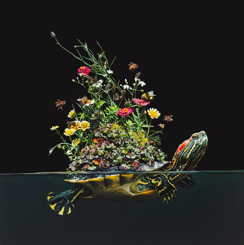 Lisa Ericson é uma artista, ilustradora e designer que pinta imagens hiper-realistas de animais imaginários. Animais esses que parecem serem criados através do entrelaçamento de espécies e a criação de novos seres híbridos. Algumas vezes, você vê borboletas que se misturam com ratos. Outras vezes são peixes brilhantes combinados com anémonas… É um mundo de cores e de animais imaginários. 