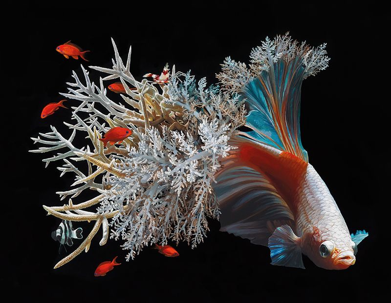 Lisa Ericson é uma artista, ilustradora e designer que pinta imagens hiper-realistas de animais imaginários. Animais esses que parecem serem criados através do entrelaçamento de espécies e a criação de novos seres híbridos. Algumas vezes, você vê borboletas que se misturam com ratos. Outras vezes são peixes brilhantes combinados com anémonas… É um mundo de cores e de animais imaginários. 