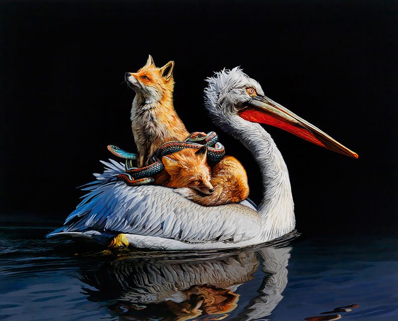 Lisa Ericson é uma artista, ilustradora e designer que pinta imagens hiper-realistas de animais imaginários. Animais esses que parecem serem criados através do entrelaçamento de espécies e a criação de novos seres híbridos. Algumas vezes, você vê borboletas que se misturam com ratos. Outras vezes são peixes brilhantes combinados com anémonas… É um mundo de cores e de animais imaginários. 