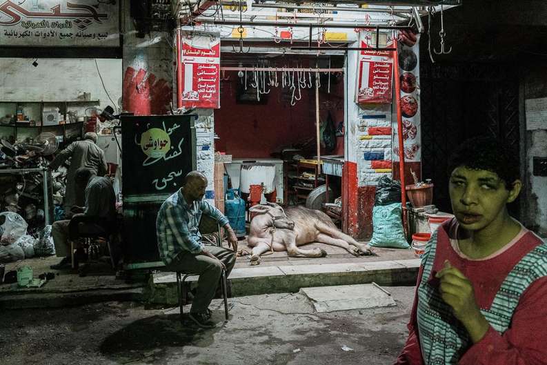 Neste projeto, o objetivo de Jonathan Jasberg é o de levar o espectador a uma viagem além das típicas fotos de cartão postal das pirâmides e da esfinge e ao coração do Cairo. Através da sua fotografia, ele espera capturar a complexidade e a riqueza desta cidade diversificada e a vida de seu povo. 