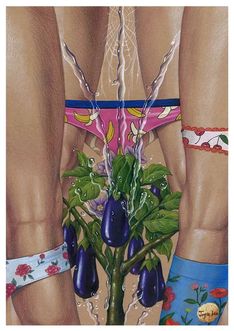 As pinturas de Joyce Lee estão cheias de insinuações visuais e justapõem objetos do dia a dia com o extraordinário. A sua arte explora o sexo, o desejo e o proibido, usando predominantemente aquarela e lápis para criar imagens que são, ao mesmo tempo, excitantes e desconfortáveis.