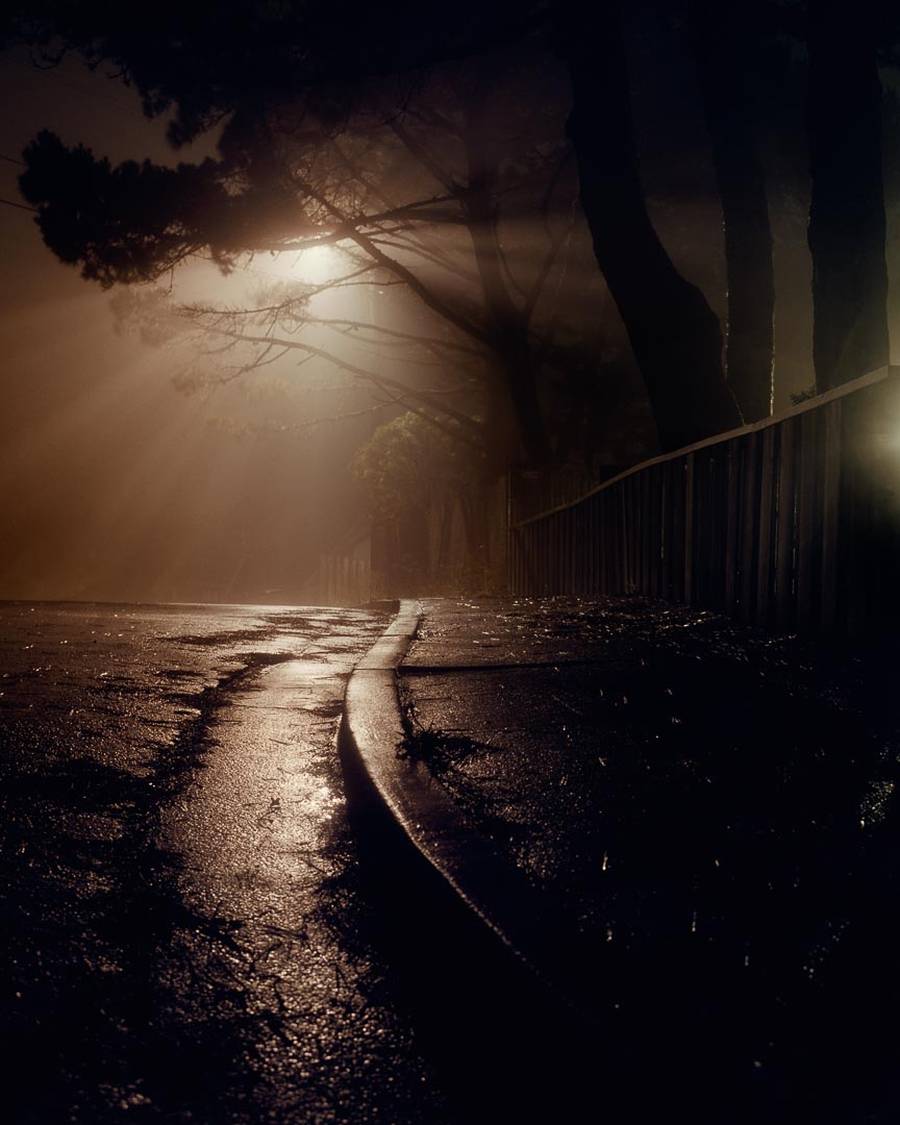 Um dos seus trabalhos mais interessantes é "House Hunting" de 2001. Foi essa série de fotos que solidificou a reputação de Todd Hido como um fotógrafo que poderia capturar a essência da vida suburbana com um toque de melancolia. A série apresenta imagens misteriosas de casas e os seus arredores, evocando um sentimento de saudade e nostalgia.