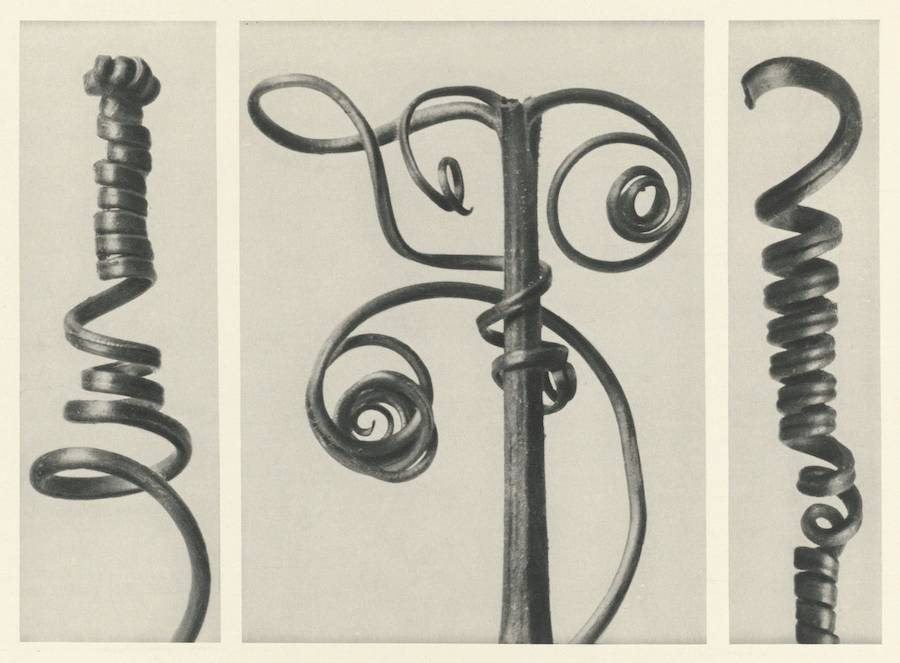 Quando Karl Blossfeldt tinha 63 anos, quatro anos antes de falecer, ele fez o seu primeiro álbum de fotos chamado “Urformen der Kunst”, mais tarde traduzido como “Formas de Arte em Plantas”. Nesse livro, cerca de 120 imagens mostram algumas plantas fotografadas por Karl Blossfeldt, desde cavalinhas de inverno até a tellima grandiflora. As imagens são super detalhadas, quase como se estivessem sob um microscópio, e parecem formas totalmente novas.