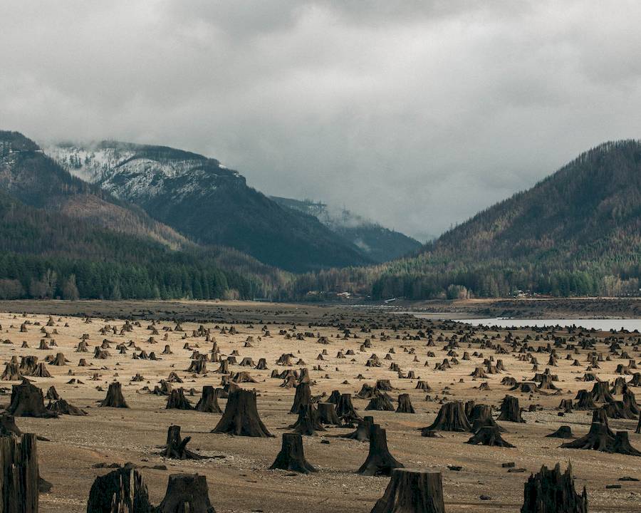 Acredito que Brendon Burton possui um talento único, uma forma especial de ver o mundo e ele usa disso para capturar a beleza de lugares quase esquecidos. As fotos que encontrei em seu portfólio evocam uma sensação de reflexão, de quietude e parecem convidar os espectadores e contemplar a passagem do tempo e as histórias que foram esquecidas nesses lugares abandonados. 