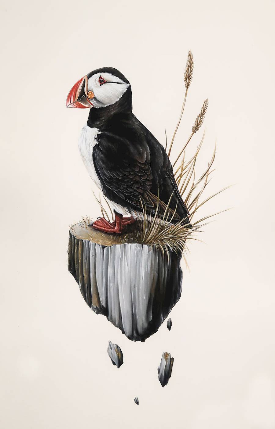 Thomas Jackson é um artista e ilustrador australiano que traz uma mistura única de criatividade e inspiração ao seu trabalho. Ele nasceu no Reino Unido, e mais tarde se mudando para a Austrália, ainda criança. E foi lá que Thomas Jackson ficou mais do que interessado pela vida selvagem da sua nova casa.