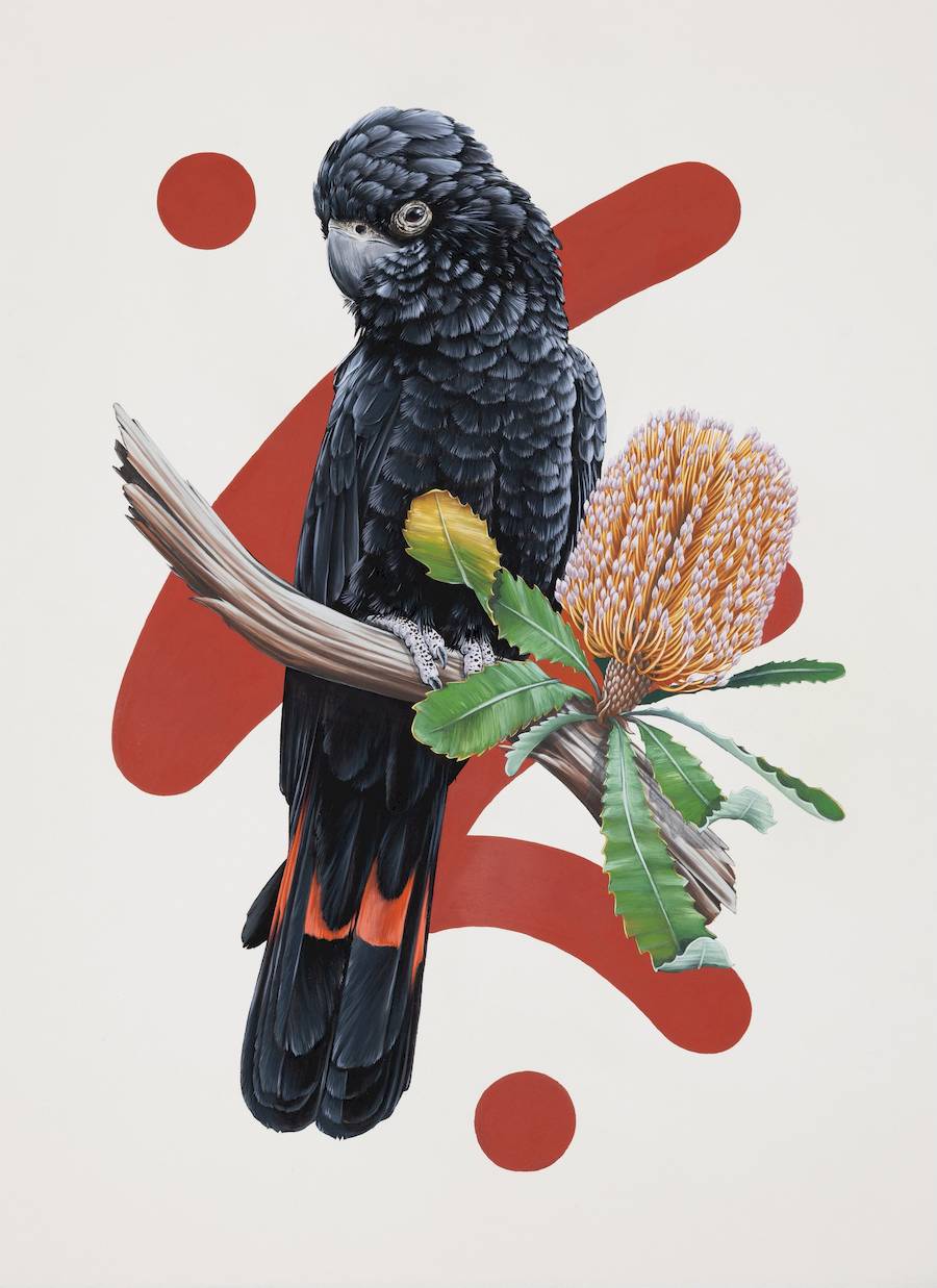 Thomas Jackson é um artista e ilustrador australiano que traz uma mistura única de criatividade e inspiração ao seu trabalho. Ele nasceu no Reino Unido, e mais tarde se mudando para a Austrália, ainda criança. E foi lá que Thomas Jackson ficou mais do que interessado pela vida selvagem da sua nova casa.
