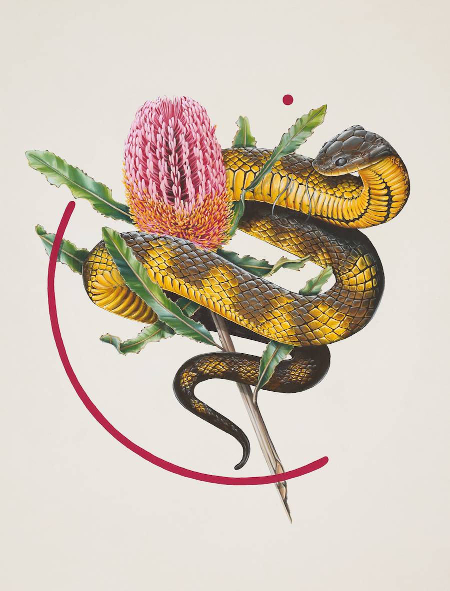 Thomas Jackson é um artista e ilustrador australiano que traz uma mistura única de criatividade e inspiração ao seu trabalho. Ele nasceu no Reino Unido, e mais tarde se mudando para a Austrália, ainda criança. E foi lá que Thomas Jackson ficou mais do que interessado pela vida selvagem da sua nova casa.