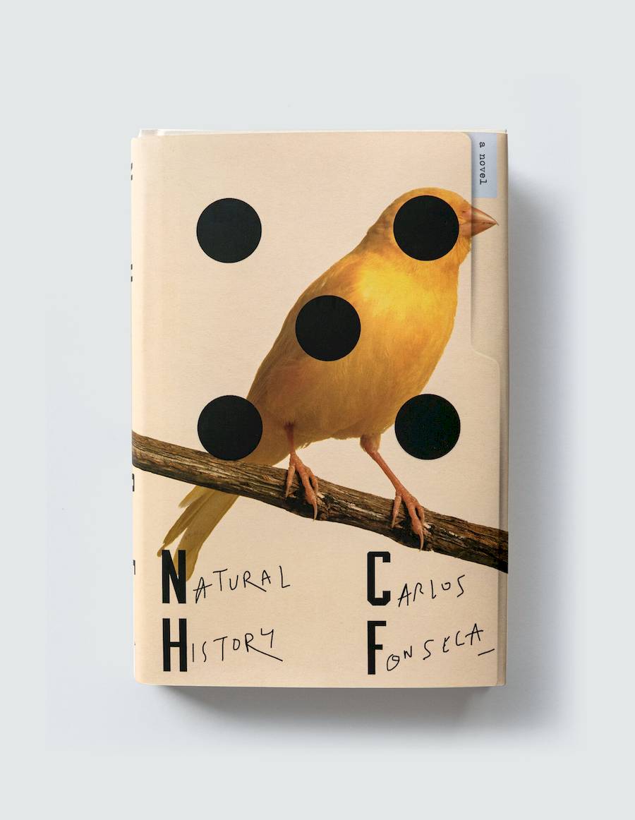 No cenário em constante evolução do design gráfico, poucos indivíduos possuem a versatilidade e a abordagem visionária de Pablo Delcan. Da criação de capas de livros à criação de narrativas visuais de publicações internacionais reconhecidas, como o The New York Times, Pablo Delcan ultrapassa os limites convencionais.